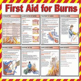 First Aid Wall Charts